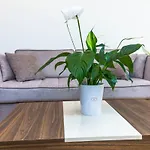 Letna Garden Апартаменты